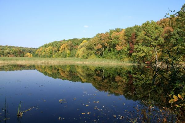 Платная рыбалка на пруду в селе Цаул, Дондушень: Спокойный Отдых и Отличный Клев