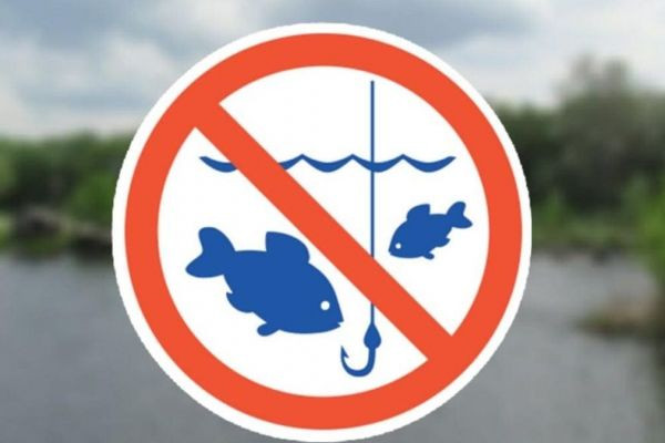 Что можно и нельзя делать во время рыболовного запрета в Молдове